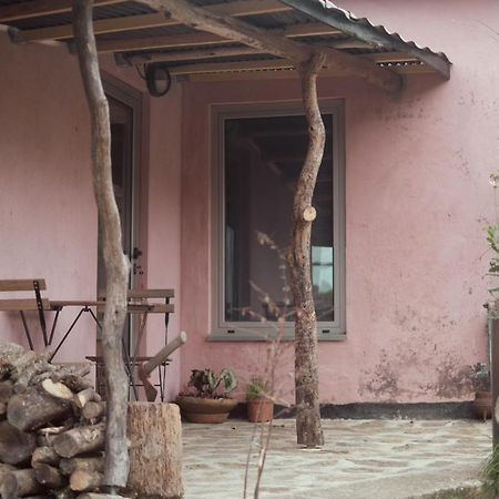 Cabana Do Dinamarques Em Arga De Baixo מראה חיצוני תמונה